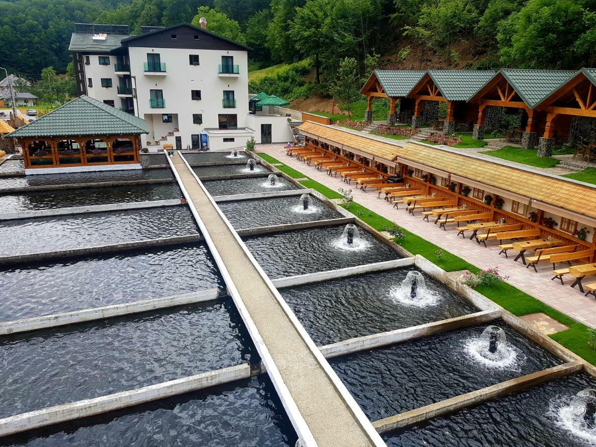 Lostrita - Pastravrie, Hotel & SPA Baia Mare Extérieur photo